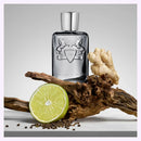 Parfums de Marly Castley 4.2 fl oz / 125 ml for Men – Authentic Luxury Fragrance | Free USA Shipping