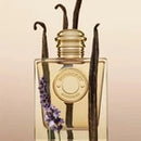 Burberry GODDESS Hot Popular Gift Good Deal Best Seller 100 ml for Unisex – Authentic Luxury Fragrance | Free USA Shipping